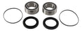 Pivot Works Rear Wheel Bearing Kits