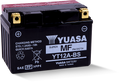 Yuasa YT12A-BS Maintenance Free AGM 12-Volt Battery w/Bottle