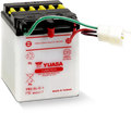 Yuasa YB2.5L-C-1 Yumicron 12-Volt Battery