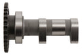 Hot Cams 06-09 LT-R 450 Intake Camshaft - Stage 1