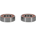 Pivot Works Premium Wheel Bearing