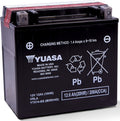 Yuasa YTX14-BS Maintenance Free AGM 12-Volt Battery w/Bottle