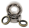 Hot Rods 05-08 Suzuki RM 250 250cc Main Bearing & Seal Kit