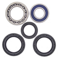 All Balls Racing 00-04 Yamaha YFM250 Beartracker Wheel Bearing Kit Rear