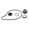 Vertex Gaskets 01-02 Arctic Cat Mountain Cat 800 Water Pump Rebuild Kit