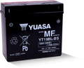 Yuasa YT19BL-BS Maintenance Free AGM 12-Volt Battery w/Bottle