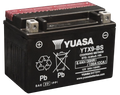 Yuasa YTX9-BS Maintenance Free AGM 12-Volt Battery w/Bottle