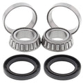 All Balls Racing 1999 Polaris Xplorer 300 4x4 Wheel Bearing Kit Rear
