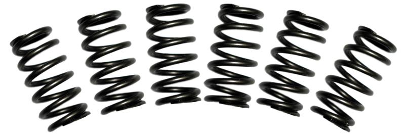 BD Diesel Valve Spring Kit 60lb Cummins 5.9 12-valve