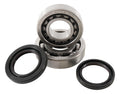 Hot Rods 06-09 Honda TRX 450 R 450cc Main Bearing & Seal Kit