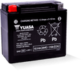 Yuasa YTX20H Maintenance Free AGM 12-Volt Battery